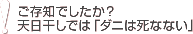 ご存知でしたか？天日干しでは「ダニは死なない」